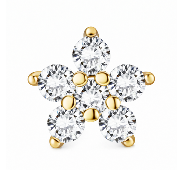 Fajas levanta cola en Bogotá